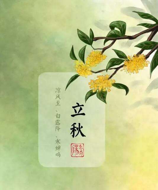 第1513页